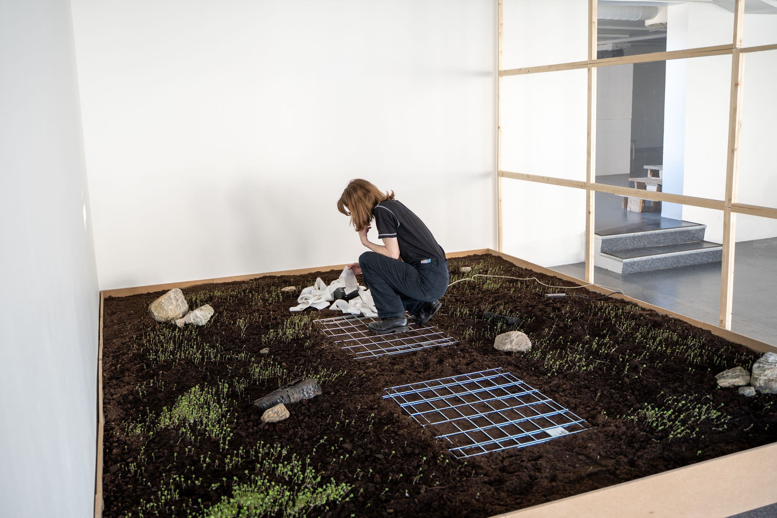 A person crouches on a bed of soil inside a gallery, placing white fabric strips onto metal grids surrounded by small, emerging sprouts.